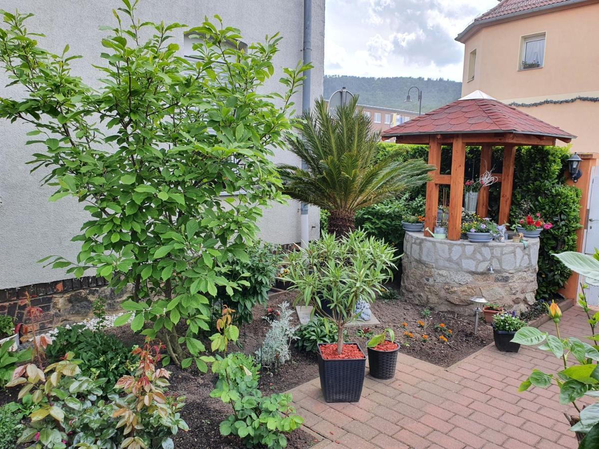 Ferienwohnung-Thale-Ritter II Екстер'єр фото